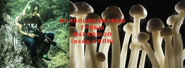 mdpv Бородино