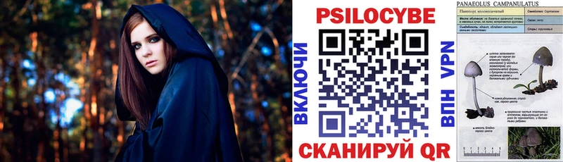 Галлюциногенные грибы GOLDEN TEACHER  Нальчик 